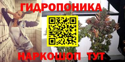 круглые Вышний Волочёк