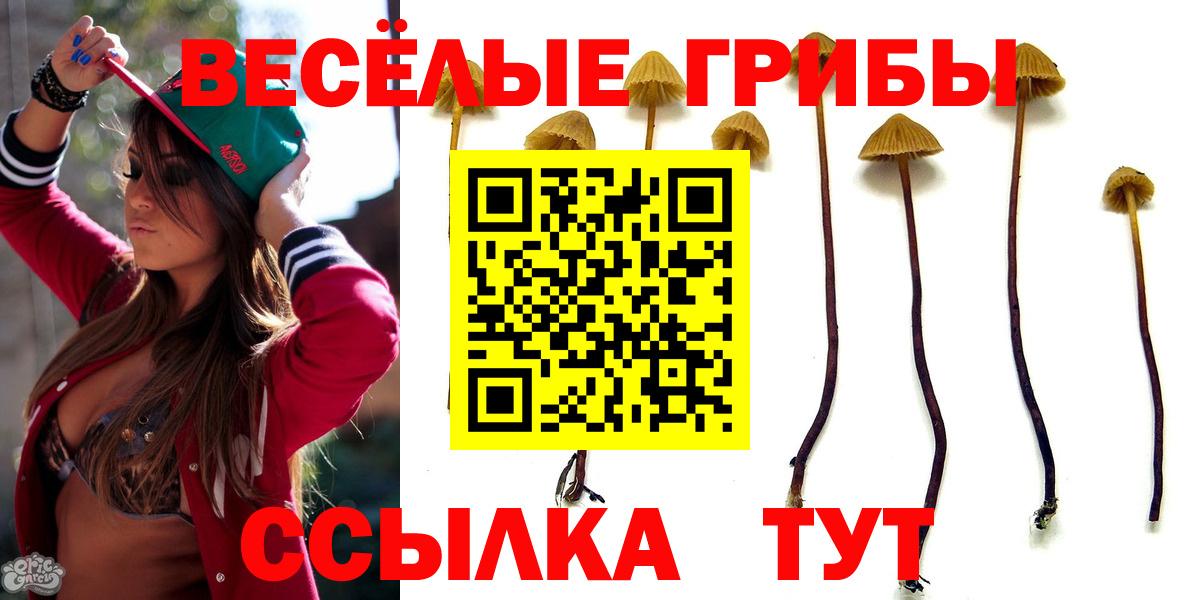 Псилоцибиновые грибы мухоморы  Галлюциногенные грибы мицелий  Ахтубинск  Вход с VPN 